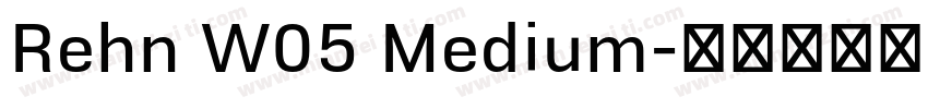 Rehn W05 Medium字体转换